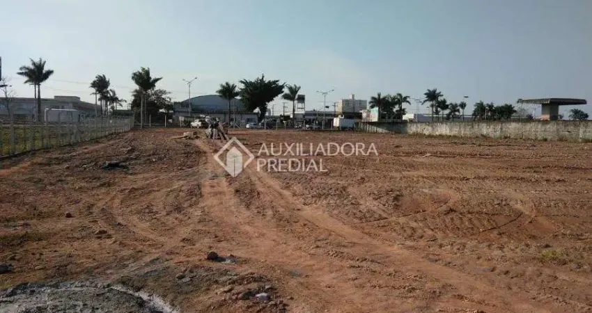 Terreno comercial à venda na Avenida Governador Adolfo Konder, 2406, São Vicente, Itajaí