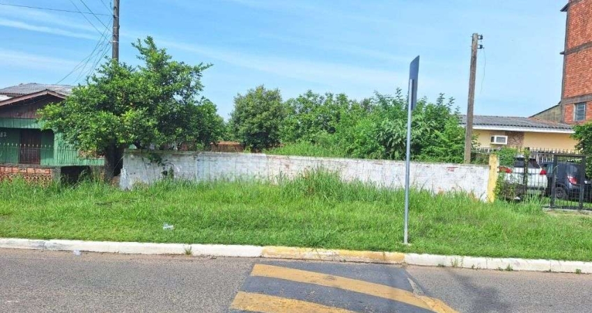 Terreno à venda na Avenida São João Batista, Caça e Pesca, Gravataí