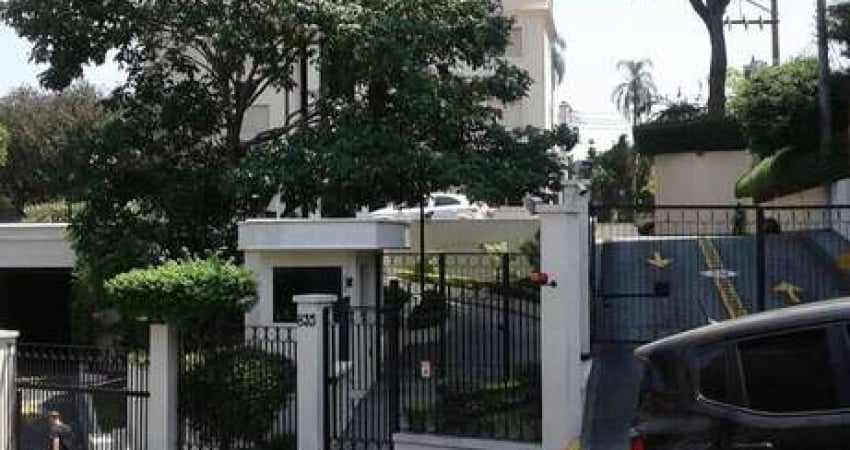 Apartamento com 3 quartos para alugar no Parque Mandaqui, São Paulo 