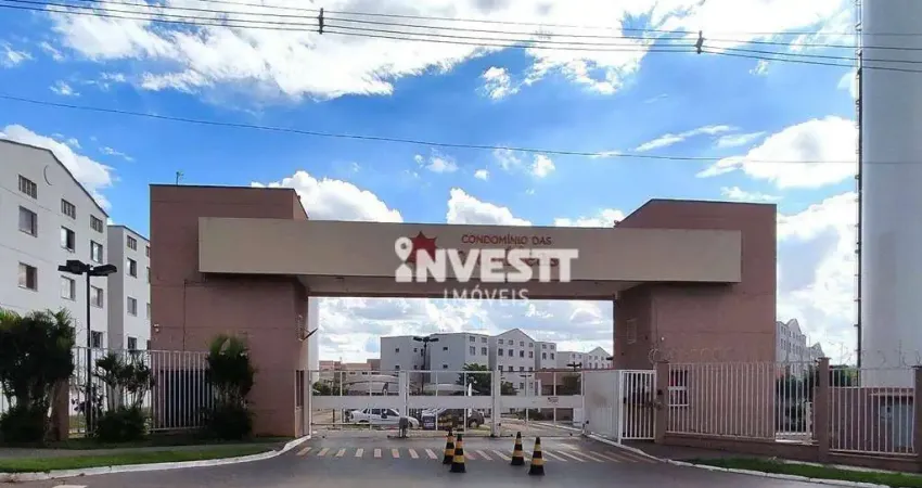 Vila Oliveira - Aparecida de Goiânia/GO