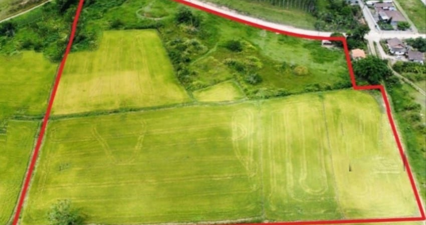 Vendo Terreno Com 42mil m² Para Plantio De Arroz - Cidade De Gaspar/SC