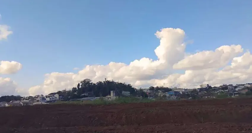Terreno à venda na Rua Guilherme Poerner, Passo Manso, Blumenau