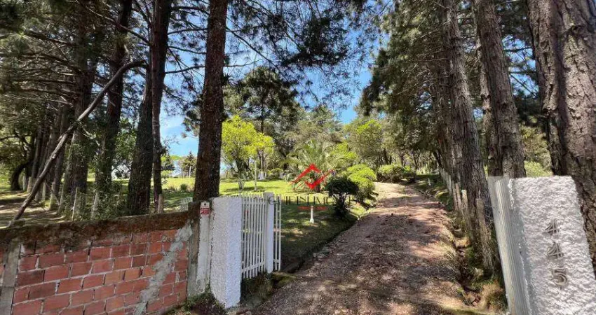 Chácara / sítio com 2 quartos à venda na Rua Vila Nova, Cachoeira, São José dos Pinhais