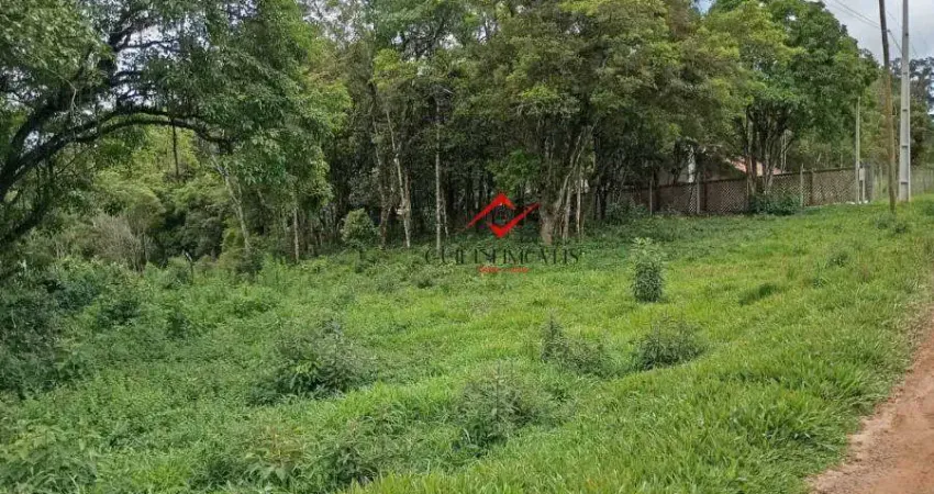 Terreno à venda na Rodovia BR-277, Borda do Campo, São José dos Pinhais