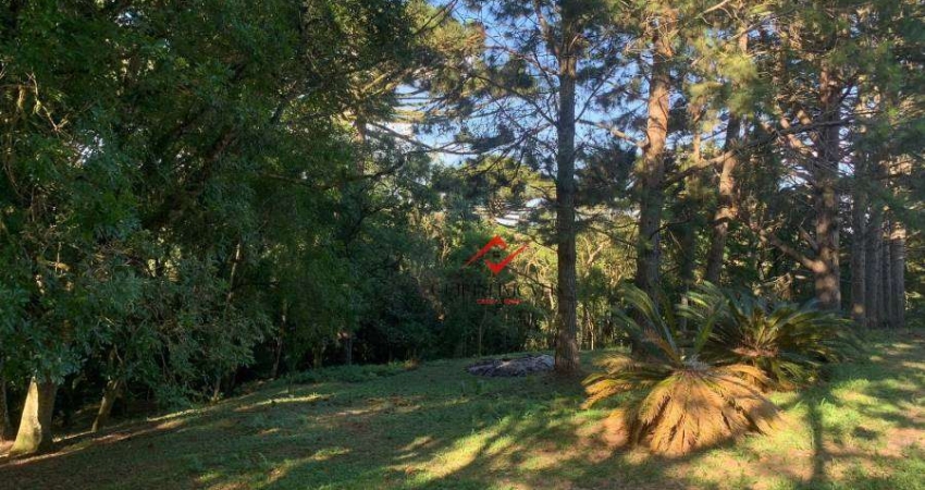 Chácara / sítio à venda no Fazendinha, Campo Largo 