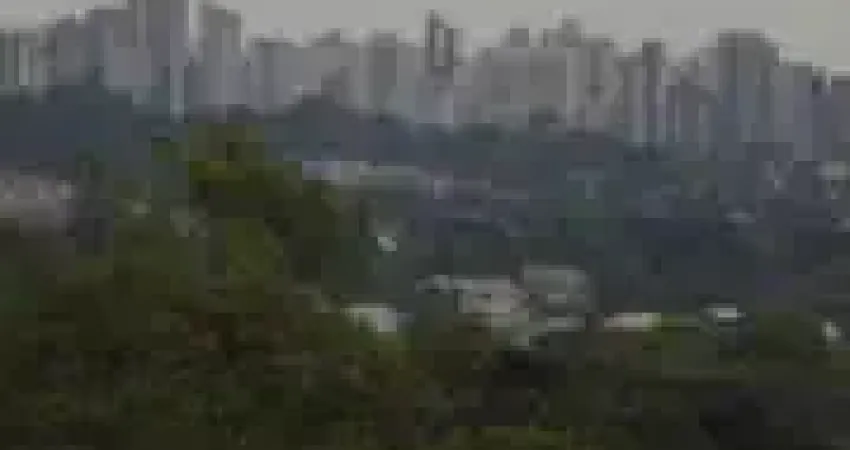 Área 23.000M² Asfaltada A 800mts BR Contorno Norte Ideal Eco Terapia