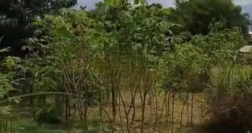 Terreno à venda na Rua Elpidio dos Santos, 21, Aririu, Palhoça