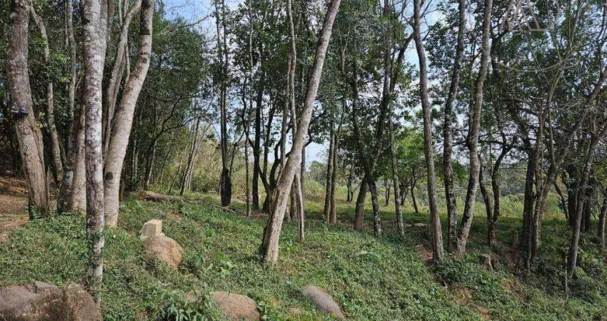 Terreno à venda na Rua Professor Alberto Piekarz, Colônia Antônio Prado, Almirante Tamandaré