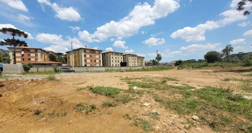 Área à venda, 15287 m² por R$ 4.410.000,00 - Santo Antônio - São José dos Pinhais/PR
