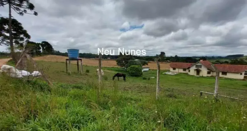 Chácara / sítio com 3 quartos à venda na Rua Felipe Rendoke, Contenda, São José dos Pinhais