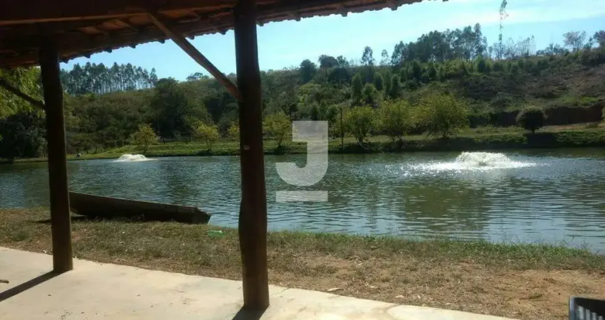 Sítio à Venda - Chácara Brumado, Amparo - 180m2  - 2 Quartos