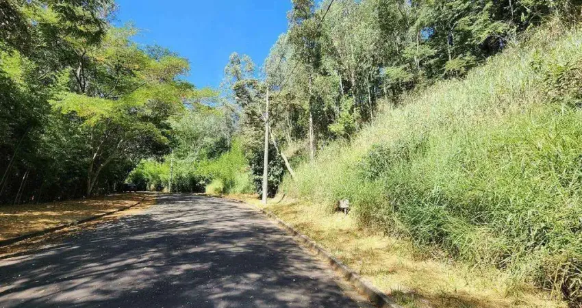 Terreno à Venda - Morada das Nascentes (Joaquim Egídio), Campinas - 2.102m2 - Condomínio Morada das Nascentes