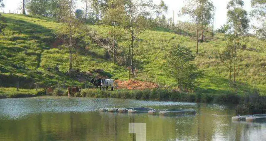 Sítio à Venda - Vila Nova, Amparo - 350m2  - 4 Quartos