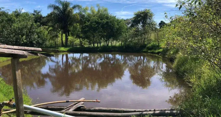 Sítio à Venda - Sertãozinho Amparo, Amparo - 170m2  - 3 Quartos