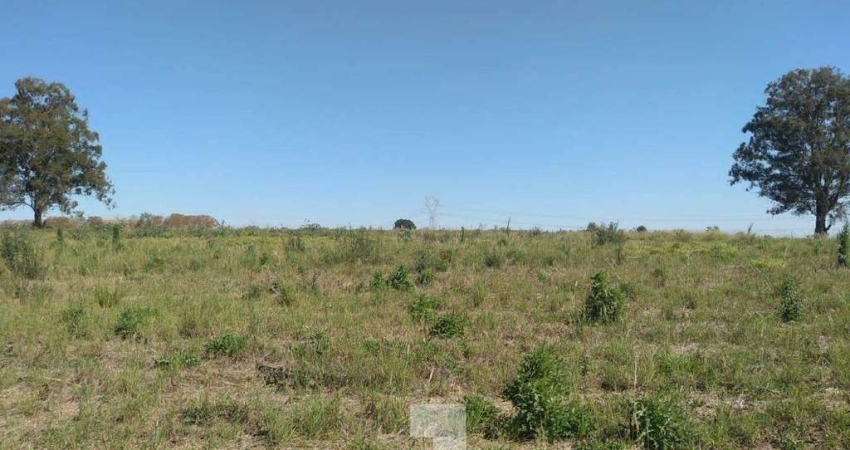 Terreno à Venda - Campo Novo, Bragança Paulista - 20.000m2