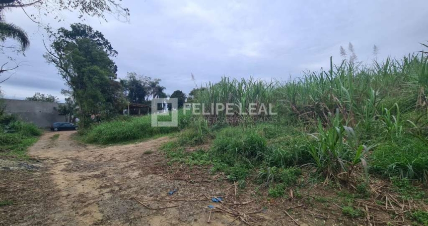 Terreno à venda na Servidão Edmilson Weingartner de Farias, 33, Bela Vista, Palhoça