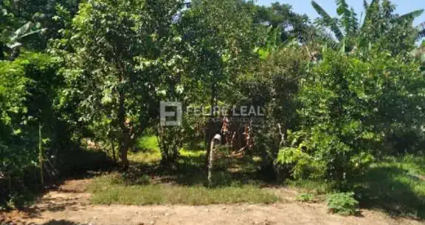 Casa com 7 quartos à venda na Rua Alexandre Plucinski, 124, Forquilhas, São José
