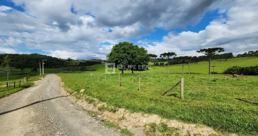 Chácara / sítio à venda na Estrada Geral Vargeado, Vargedo, Rancho Queimado