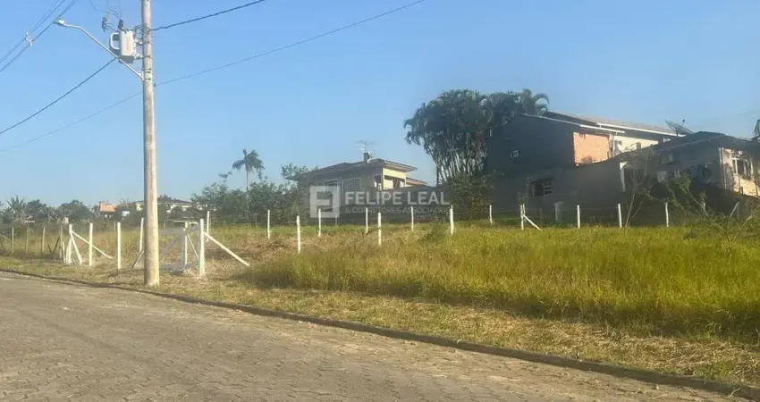 Lote / Terreno em São Francisco  -  Santo Amaro da Imperatriz