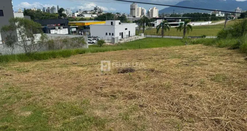 Terreno à venda na Rua dos Flamingos, Pedra Branca, Palhoça
