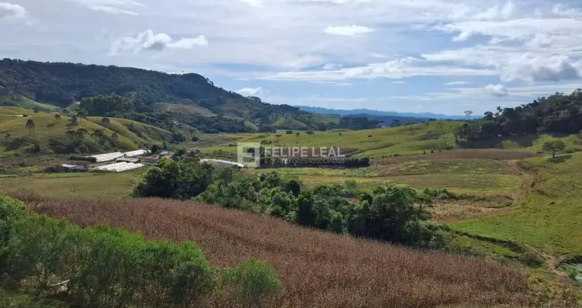 Chácara / sítio à venda na Estrada Geral da Barra Clara, Barra Clara, Angelina