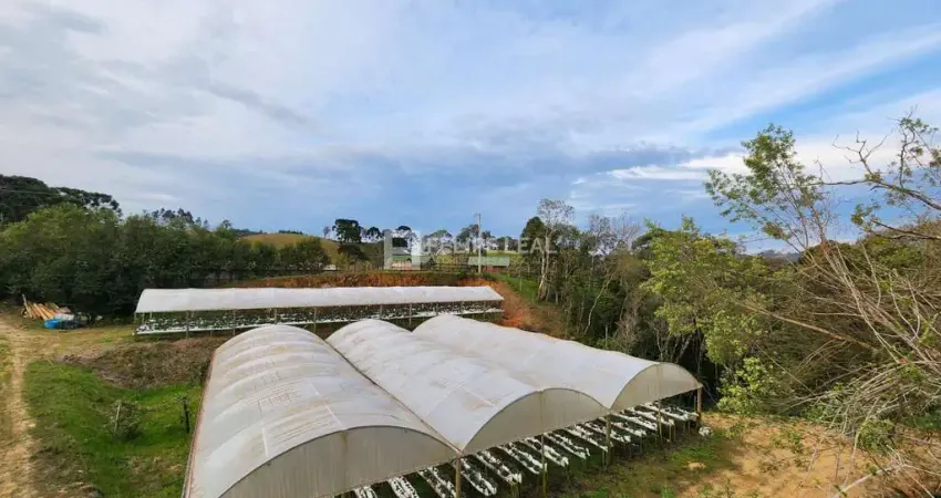 Chácara / sítio à venda na Estr. Geral da Invernadinha, 533, Invernadinha, Rancho Queimado