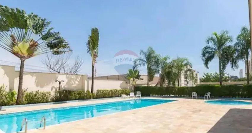 Re/max aluga apartamento mansões santo antônio campinas sp r$2.800,00