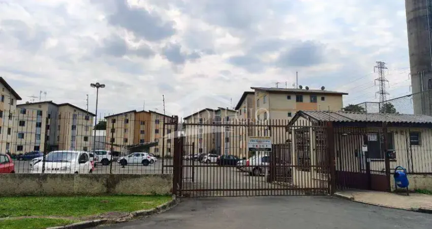 Apartamento com 2 quartos à venda na Rua José Dolcídio Paris, 70, Ipê, São José dos Pinhais