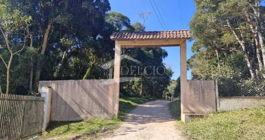 Chácara / sítio à venda na Estrada da Roseira, Borda do Campo, São José dos Pinhais