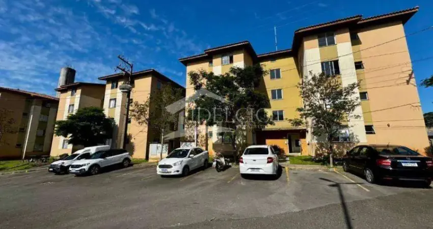 Apartamento com 2 quartos para alugar na Rua Hugo Zen, 550, Colônia Rio Grande, São José dos Pinhais