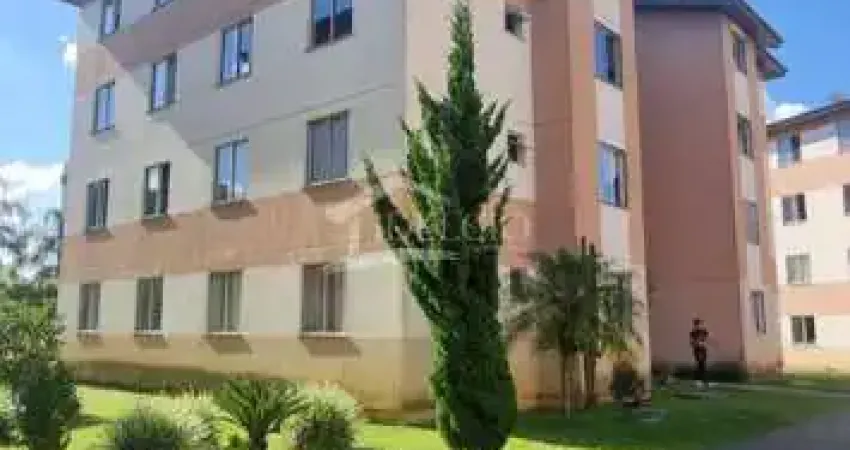 Apartamento com 2 quartos à venda na Rua Pedro Plantes dos Anjos, 200, Santo Antônio, São José dos Pinhais