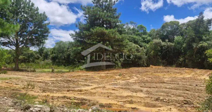 Chácara / sítio à venda na Área Rural, Borda do Campo, São José dos Pinhais