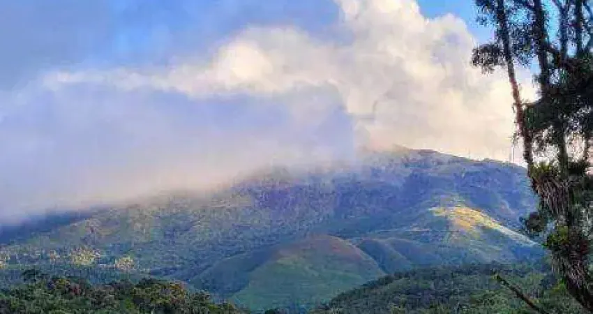 Chácara à venda, 20000 m² por r$ 140.000,00 - paiol de baixo - campina grande do sul/pr