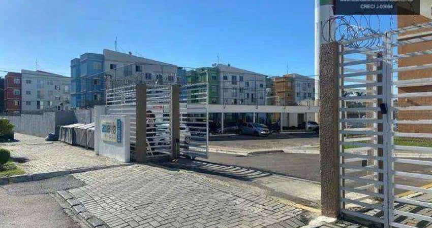 Apartamento 2 quartos venda - bairro  Afonso Pena - São José dos Pinhais/PR