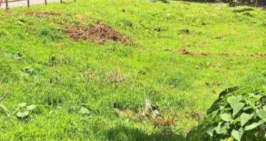 Terreno à venda na Rua Canários, 490, Gralha Azul, Fazenda Rio Grande