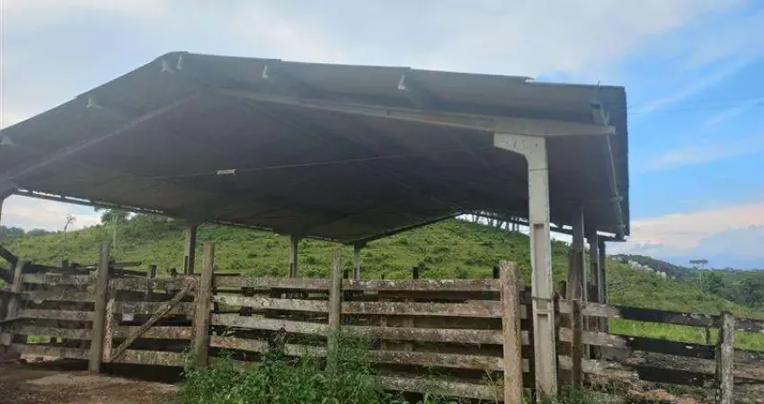 Fazendas para venda em Eldorado no bairro Zona Rural