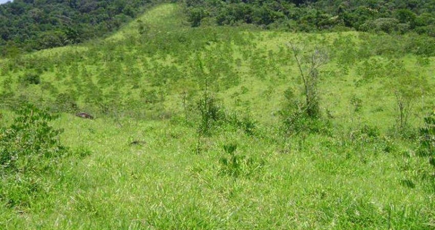 Casa comercial à venda na Bairro Batatal, 122024, Batatal, Eldorado