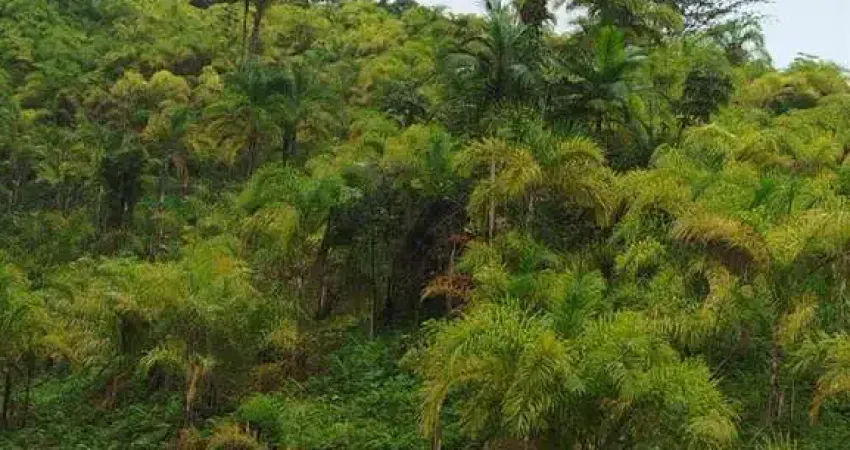 Casa comercial à venda no Mamparra, Sete Barras 