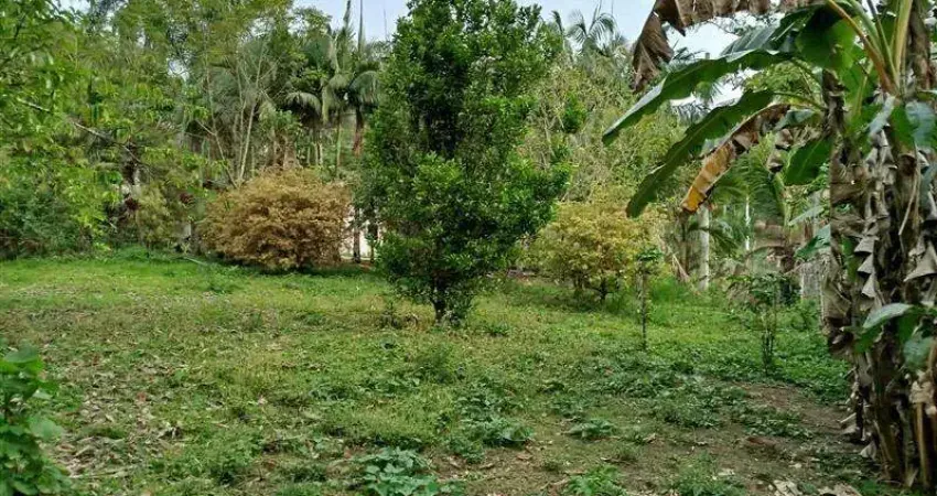 Chácara / sítio à venda no Centro, Cajati
