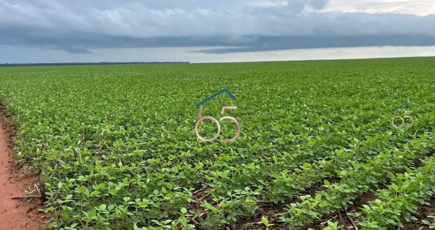 Fazenda a venda em querencia do norte mt -área total 7.200 hectares