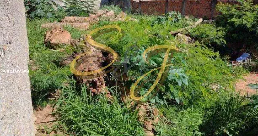 Terreno a venda no bairro Parque Bom Retiro, Paulíinia/SP