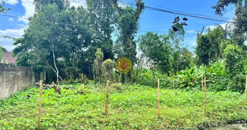 Terreno de 470 m² – Limpo, Cercado e a 550 Metros da Praia