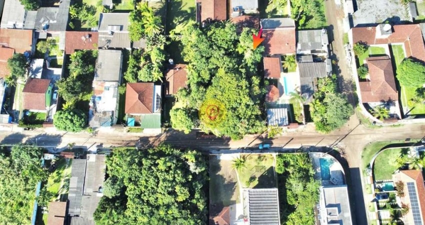 Terreno à venda na Alameda Panorama, Boracéia, São Sebastião