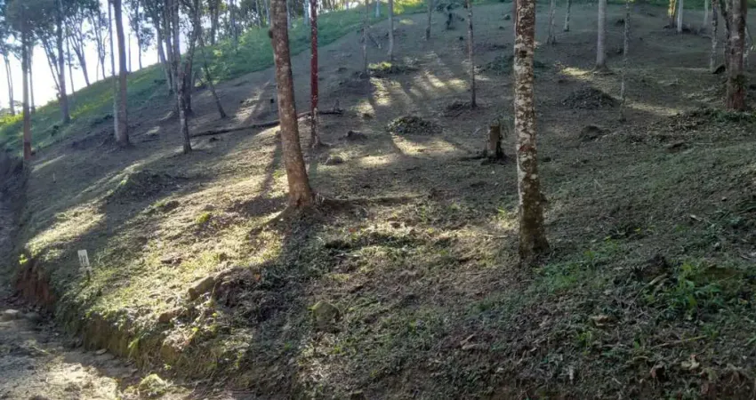 Terreno em condomínio fechado à venda na Do Cafezeiro, Varginha, Santo Amaro da Imperatriz