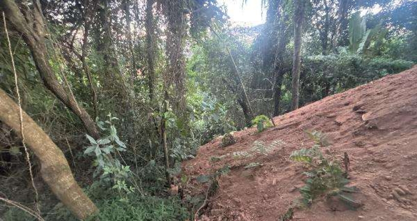 Oportunidade Única em NOVA LIMA - MG | Tipo: Terreno | Negociação: Leilão  | Situação: Imóvel