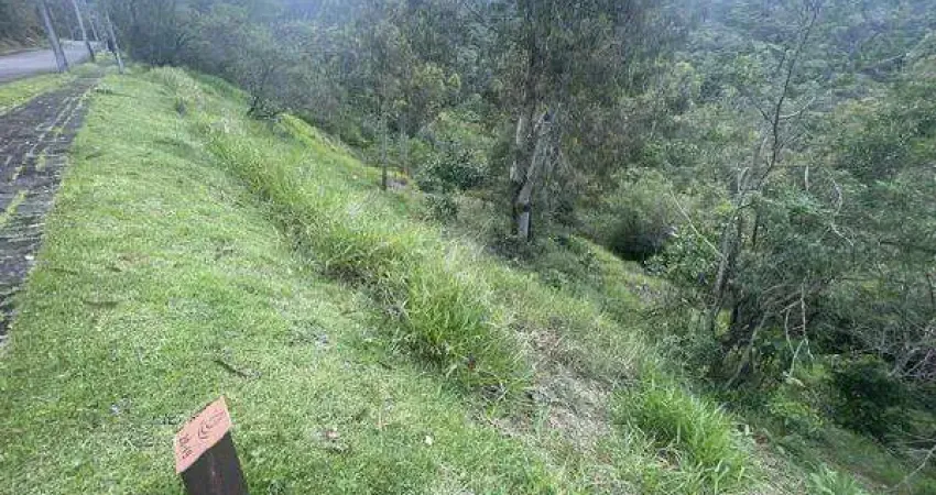 Oportunidade única em viamao - rs | tipo: terreno | negociação: leilão | situação: imóvel