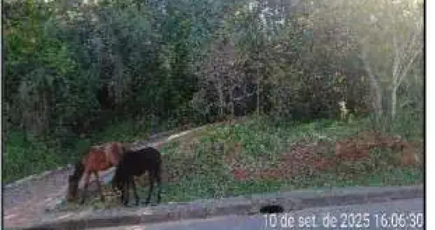 Oportunidade única em porto alegre - rs | tipo: terreno | negociação: leilão | situação: imóvel