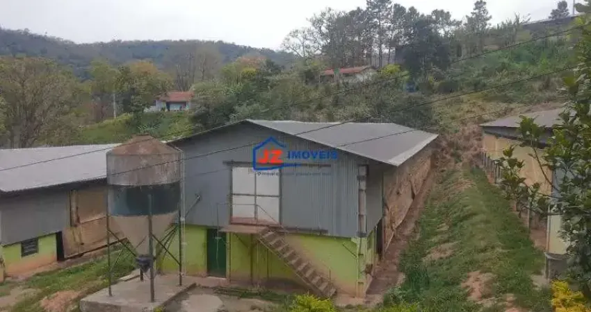 Barracão / Galpão / Depósito para alugar na Vila Santo Antônio, São Roque