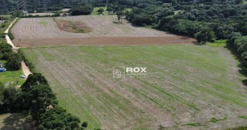 Terreno rural à venda, 22.000 m² por R$ 1.300.000 - Salgadinho, Campo Largo/PR
