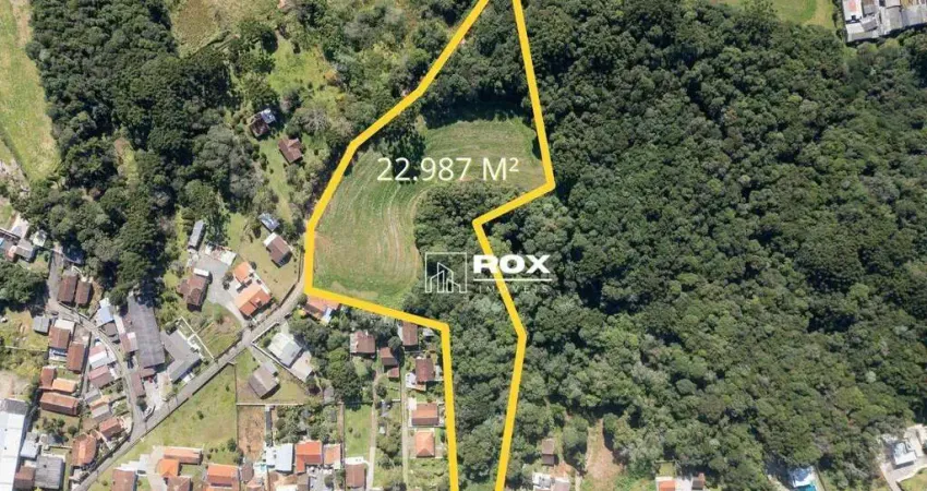 Terreno à venda, 22987 m² por R$ 3.000.000 - Rondinha, Campo Largo/PR
